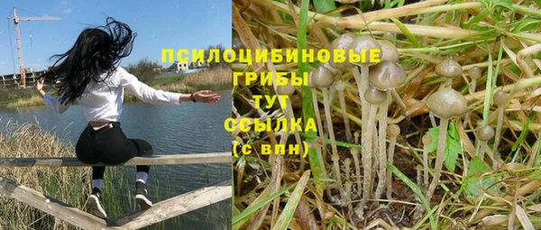 spice Вязники