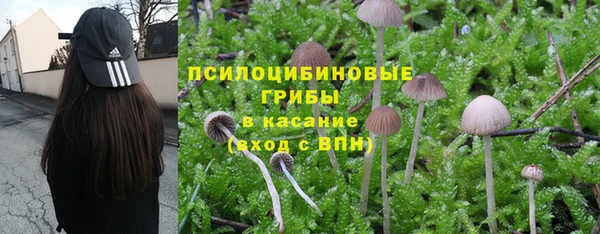 МДПВ Волоколамск