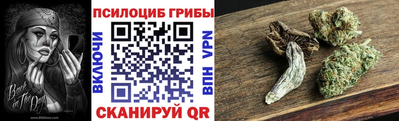 Галлюциногенные грибы мицелий Мурманск
