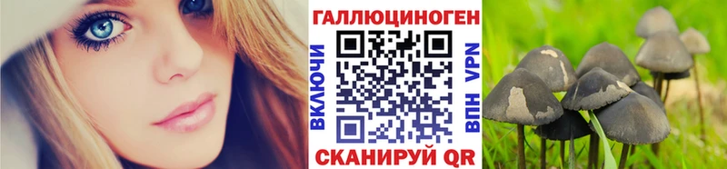 Псилоцибиновые грибы GOLDEN TEACHER  Мурманск 
